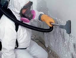 Best Water Damage & Mold Remediation in USA